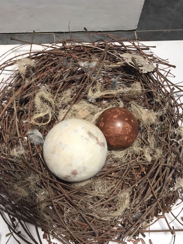 No Event Information Available